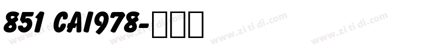 851 CAI978字体转换